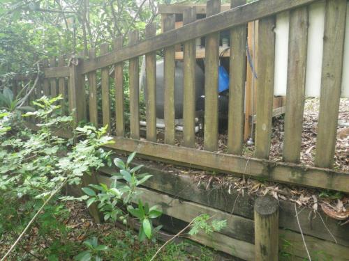 Climbable timber fence with numerous footholds