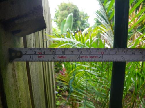 Gap between vertical member of metal pool fence & intersecting timber paling boundary fence exceeds 100mm maximum allowance