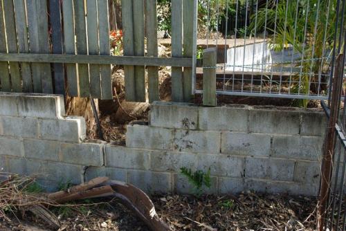 Concrete wall blocks dislodged plus missing & loose palings allows direct access to pool zone