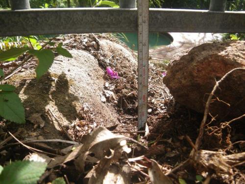 Excessive gap under pool fence between loose landscaping rocks should be filled in