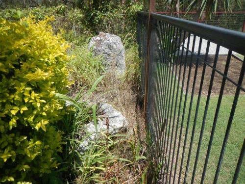 Now these are climbable rocks right next to the inside of a pool fence