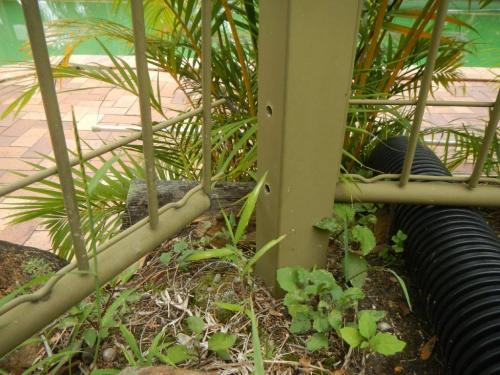 Fence panel dislodged from pool fence post