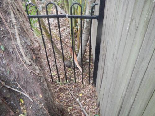 Dislodged top horizontal rail of metal fence plus bottom of fence buried in mulch which decreases the overall height of the fence to 1100mm