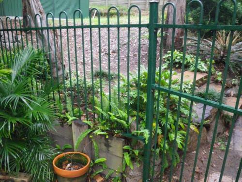 Non-conforming pool fence abuts a conforming pool fence