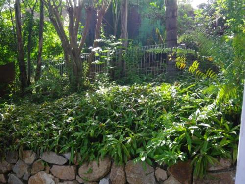 A garden fence posing as a pool fence is not a substitute for a real pool fence– nice garden though