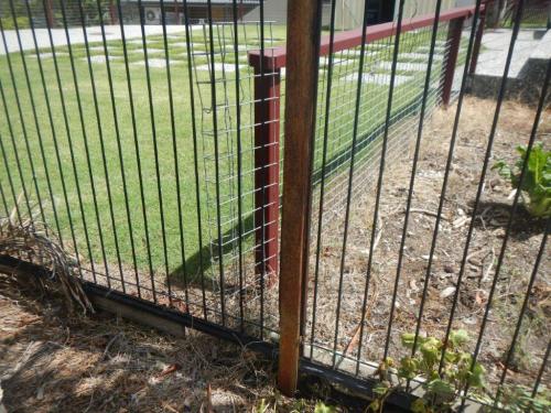 Climbable square mesh panel intersects with pool fence