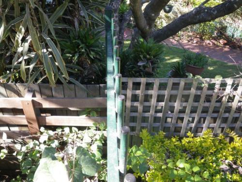 Trellis style fencing intersects with metal pool fence