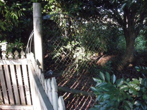 A chain wire fence with 30 degree support post meets an otherwise compliant timber paling pool fence