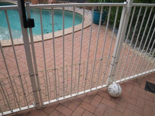 Plastic mesh fixed to another wise compliant pool fence – little dogs mightn’t drown but what about the kiddies? Maybe an extra invitation if the ball was in the pool area or even in the pool